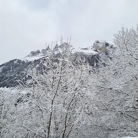 Le White - Le 42 Restaurant 4*