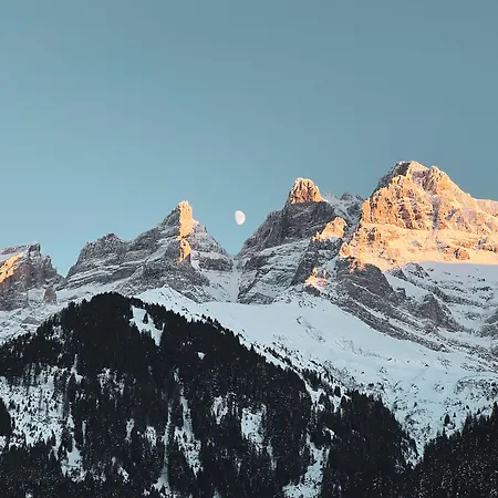 Le White - Le 42 Restaurant Champéry
