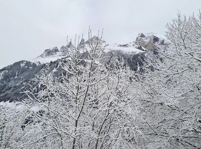 Le White - Le 42 Restaurant 4*