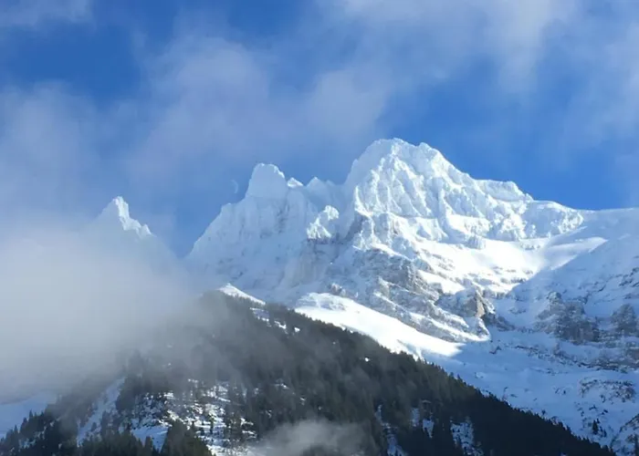 Le White - Le 42 Restaurant