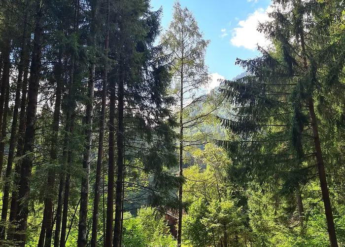 Le White - Le 42 Restaurant