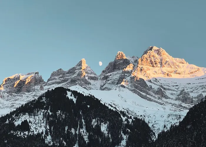 Le White - Le 42 Restaurant Champery